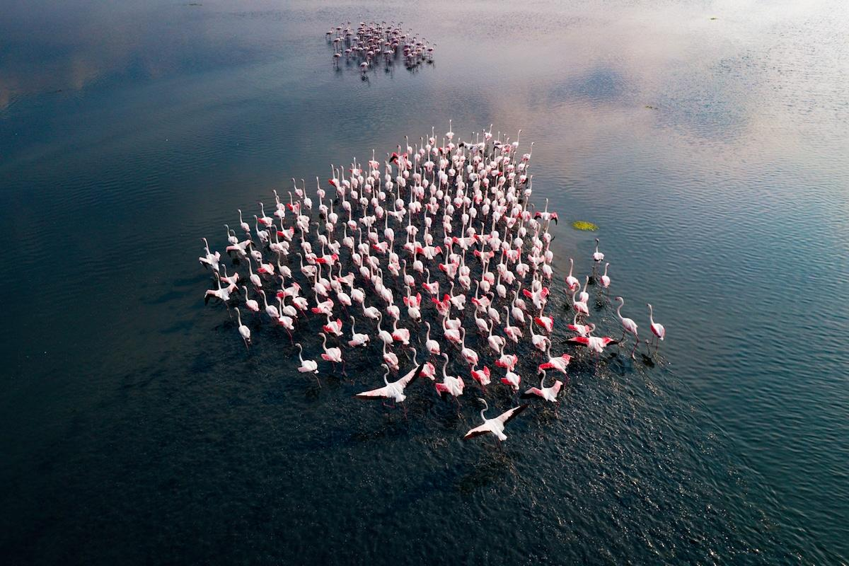 Supreme Court Extends Stricter Scrutiny on Mining Near Ramsar Wetlands Across India